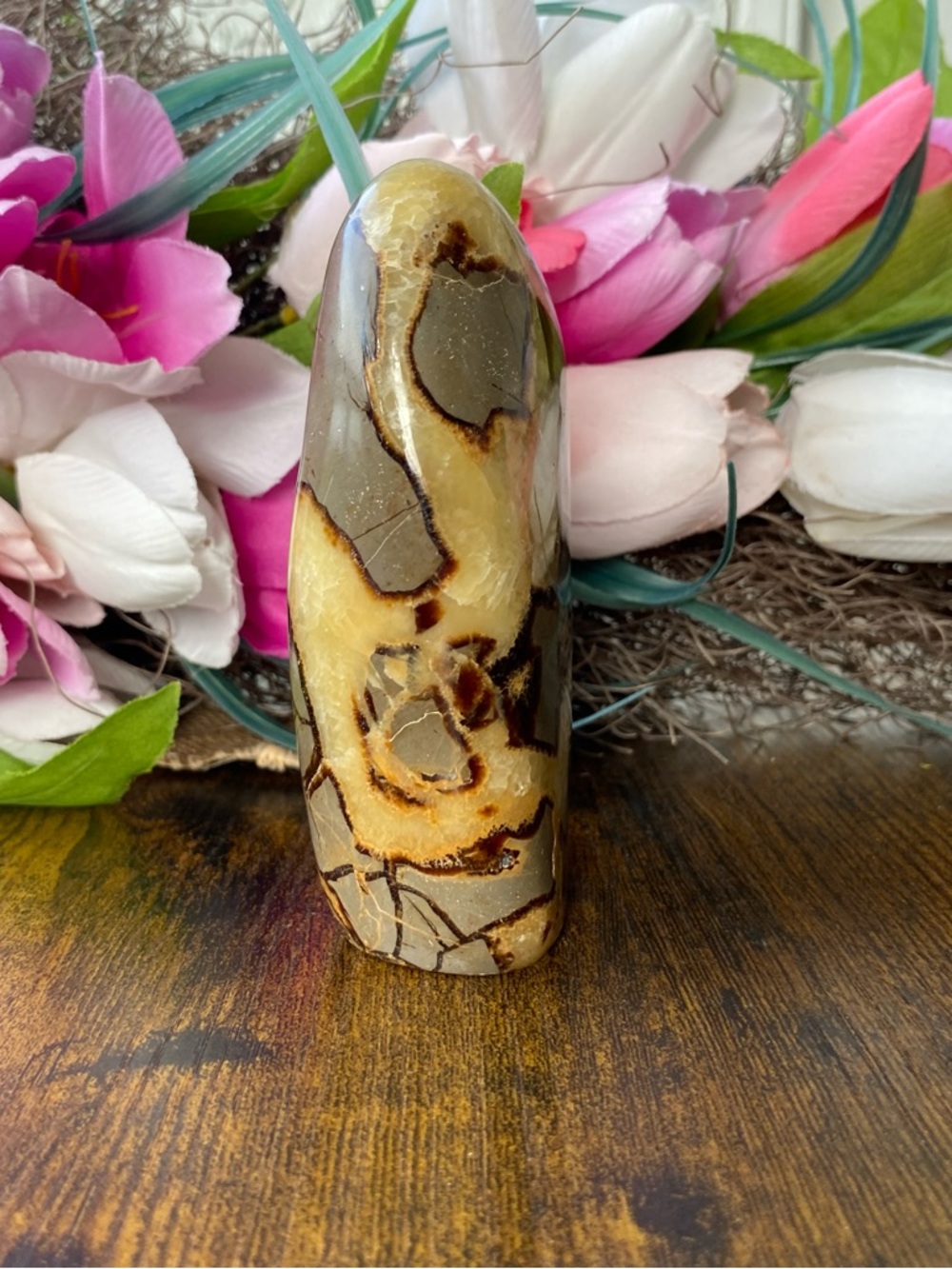 Septarian Freeform - Picture 3 of 12